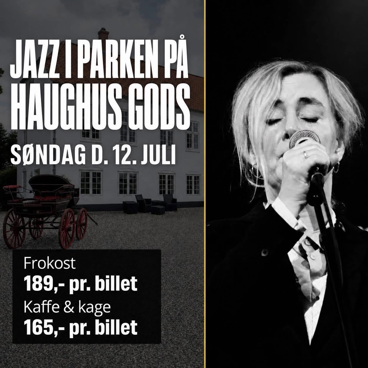 jazz i parken